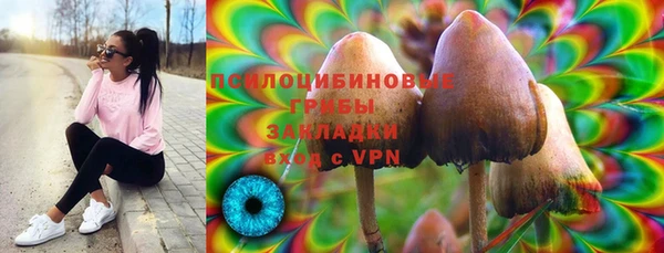 МДМА Инсар
